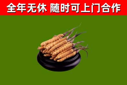潞城区烟酒回收冬虫夏草.jpg